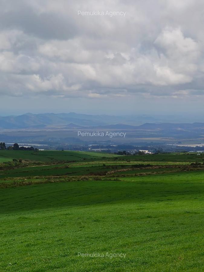 314 ac Land at Timau - 13