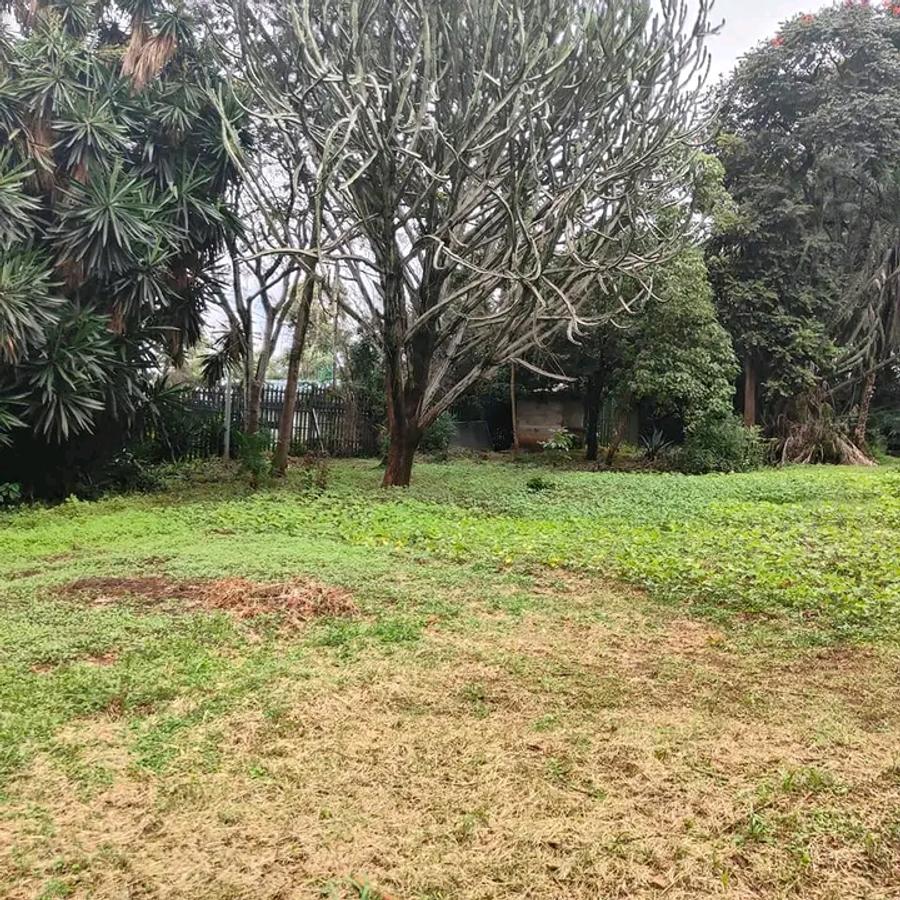 200 ac Land at Kilimani - 6