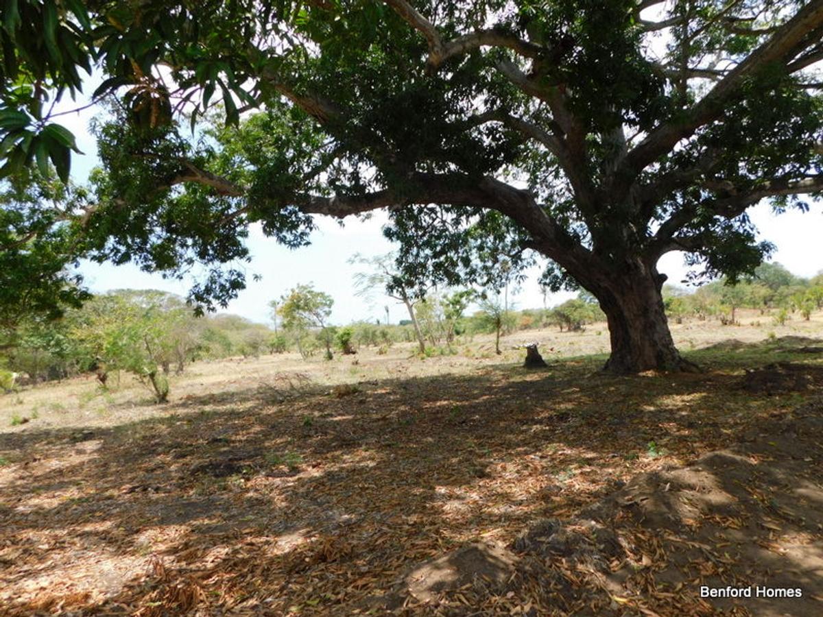 10,000 ft² Land in Vipingo - 5