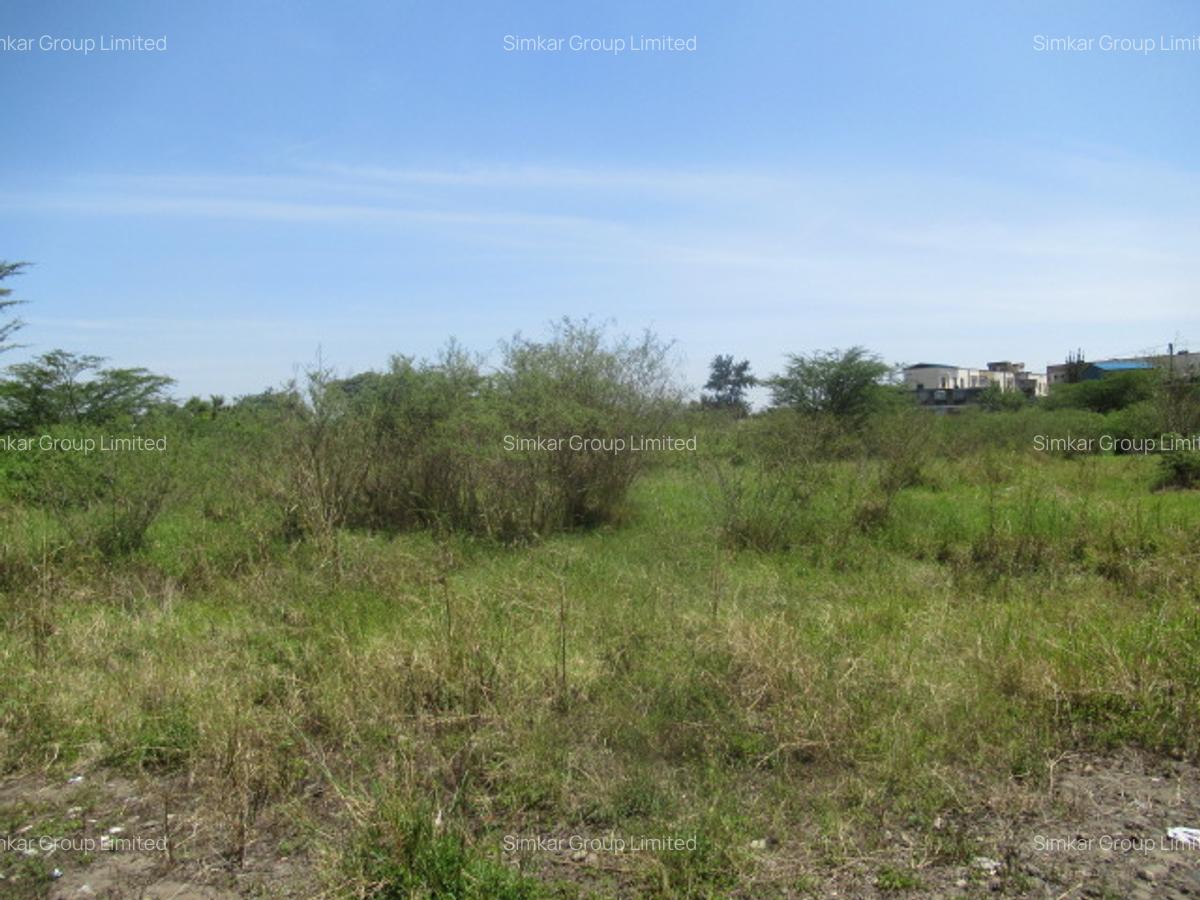 Land at Nyasa Rd - 4