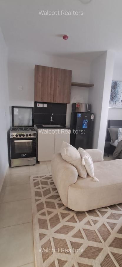 Studio Apartment with En Suite in Naivasha Road - 2