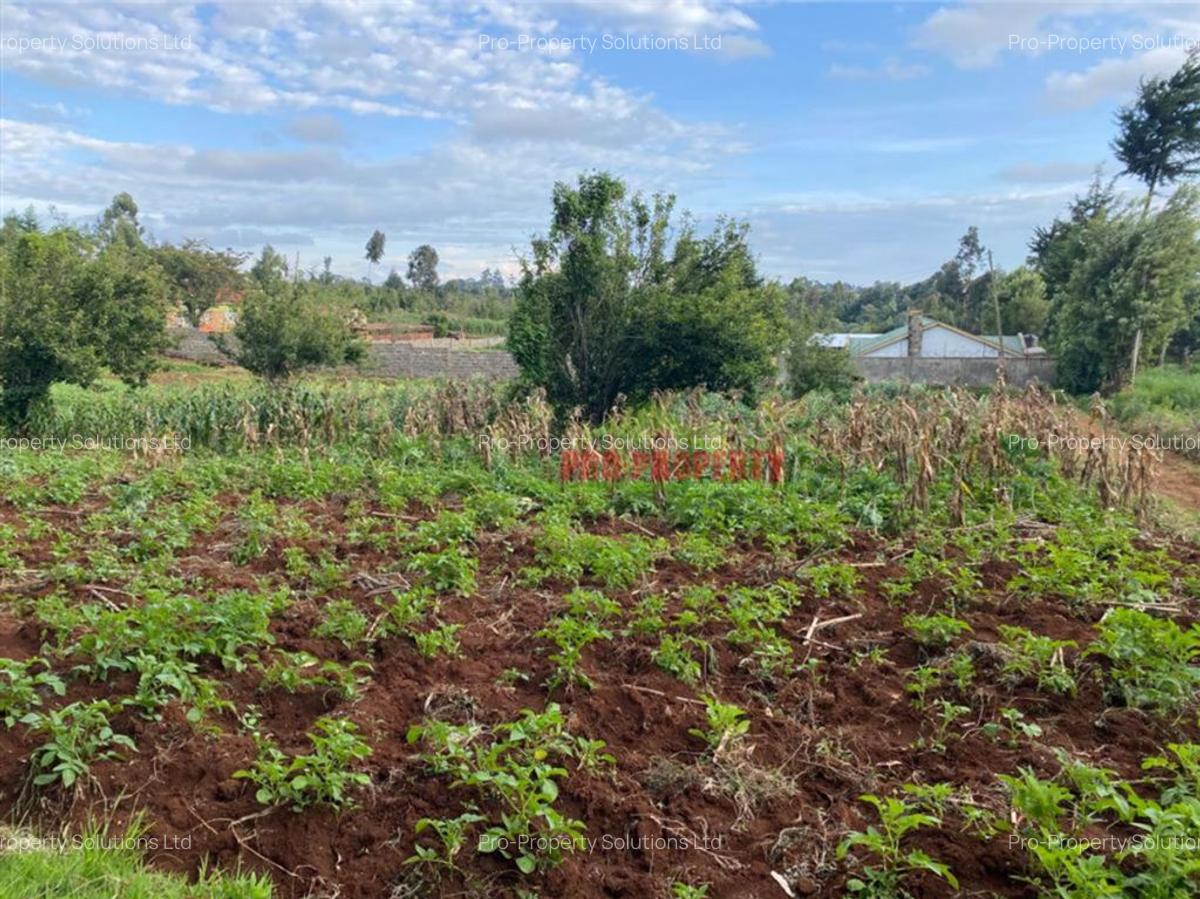 4,000 m² Land in Limuru - 6