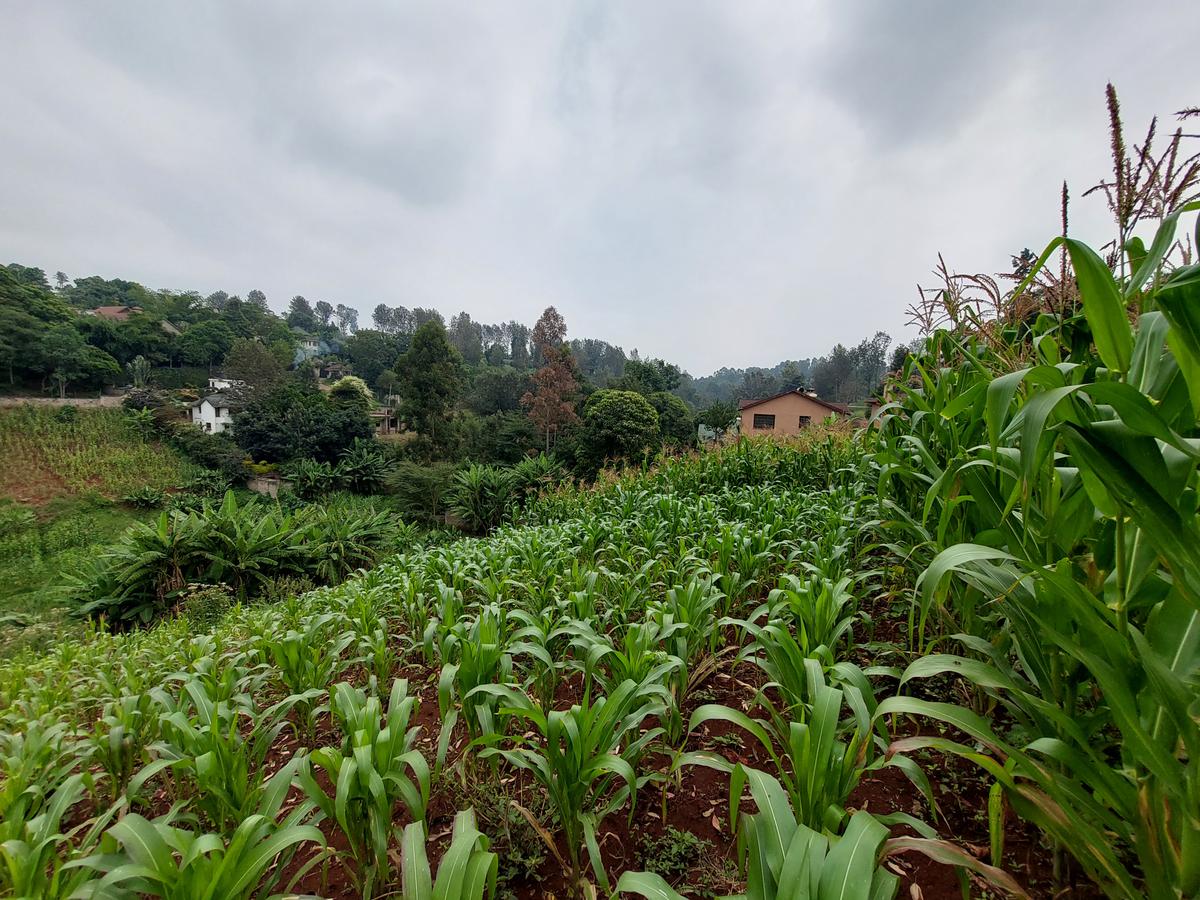 Residential Land at Kitisuru Ridge 44 - 16