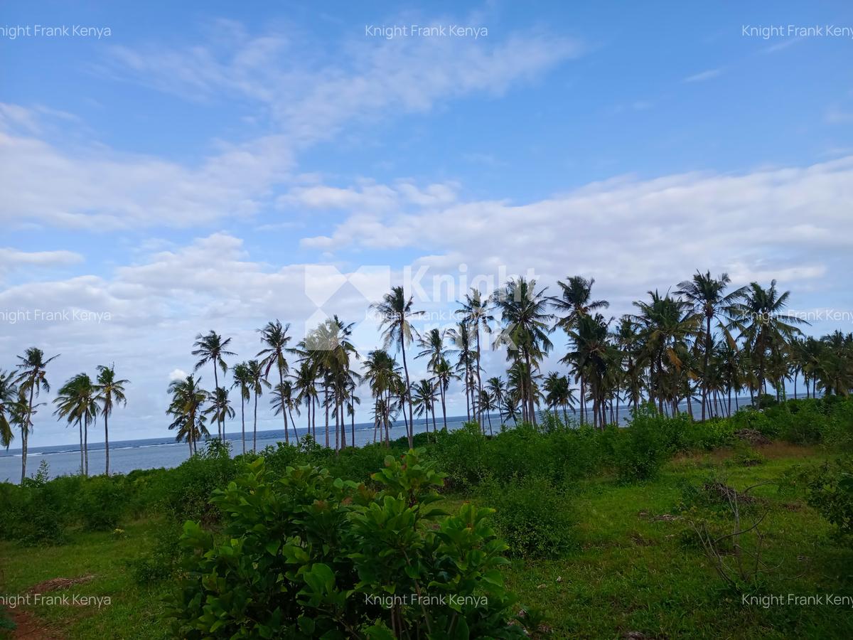 Land at Kikambala Beach - 1