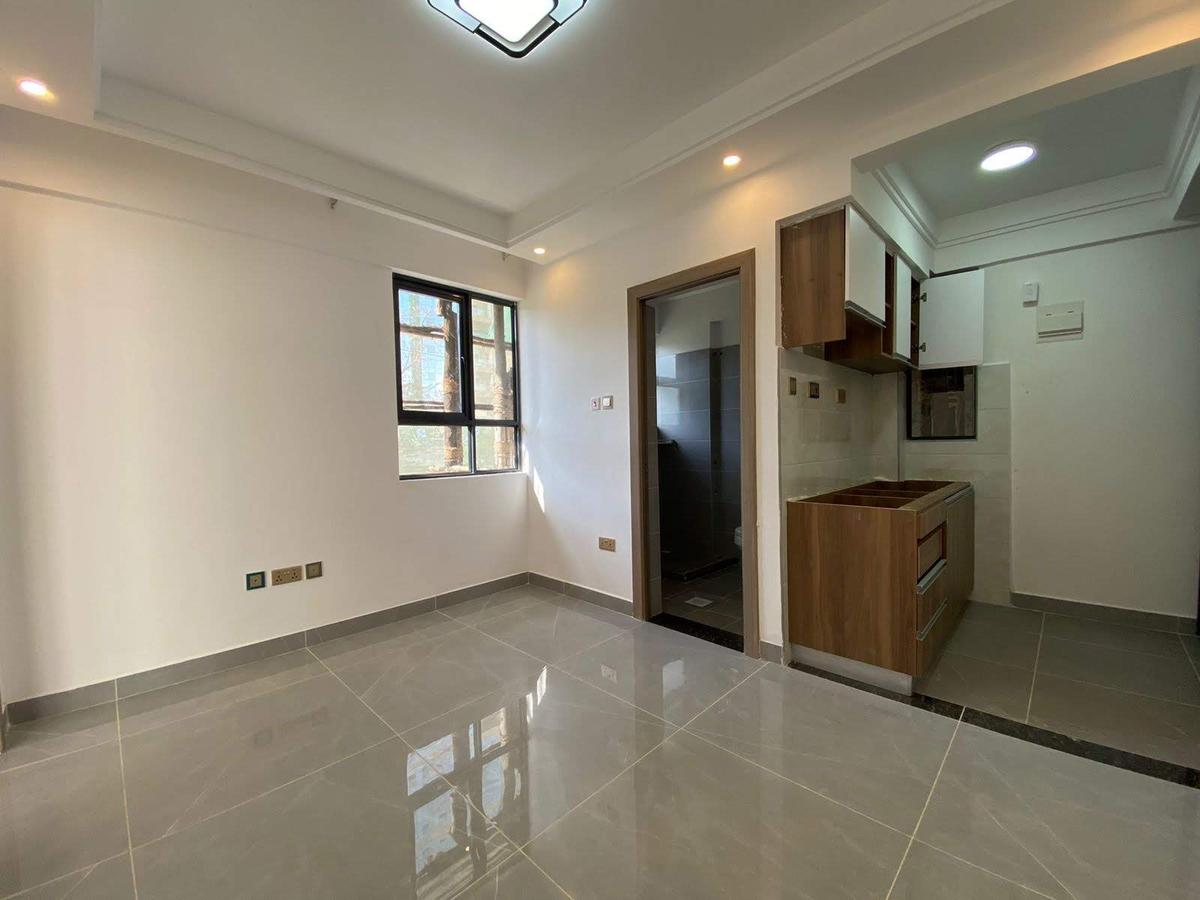 Serviced Studio Apartment with Gym in Lavington - 8