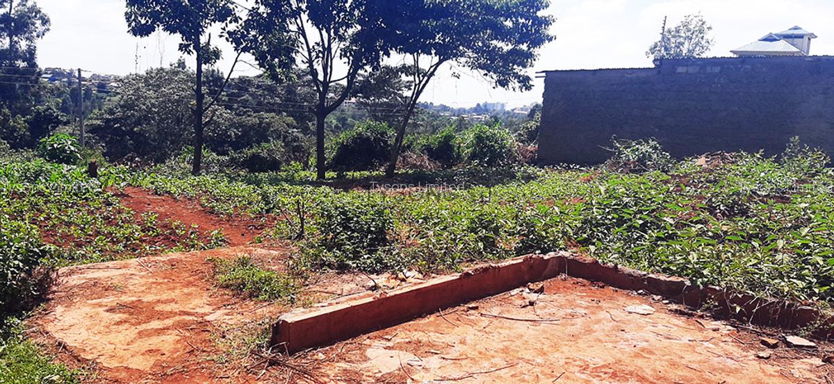 Land in Ruaka - 4