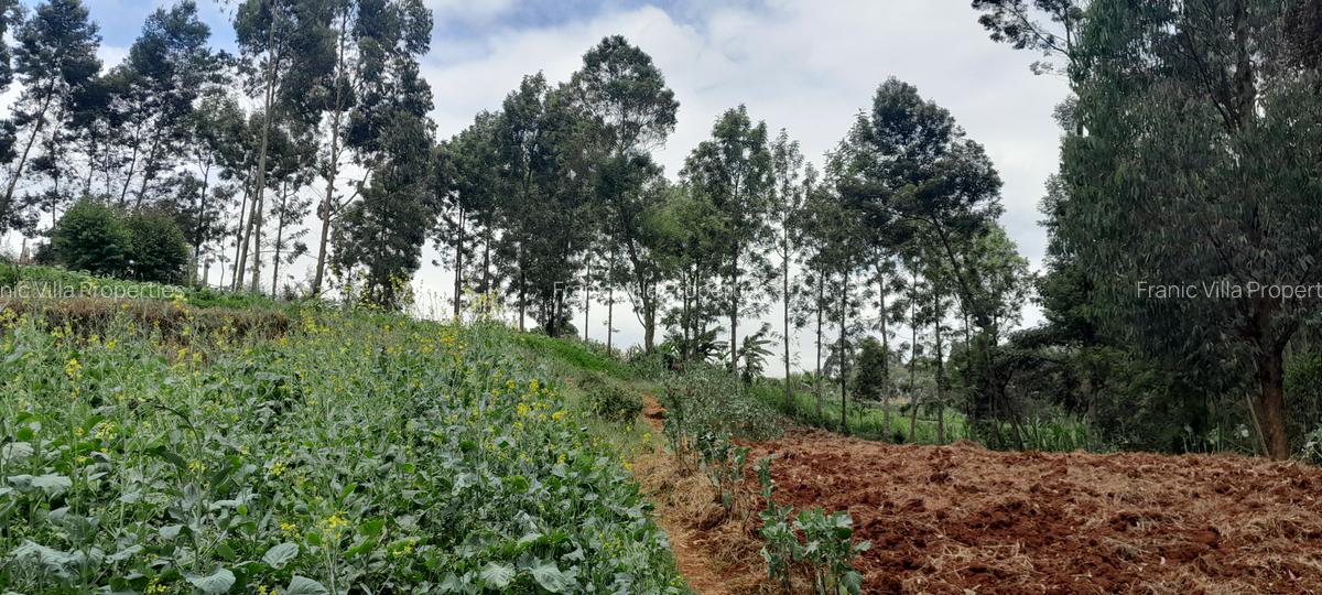 Residential Land at Kabuku Near St Paul University - 14