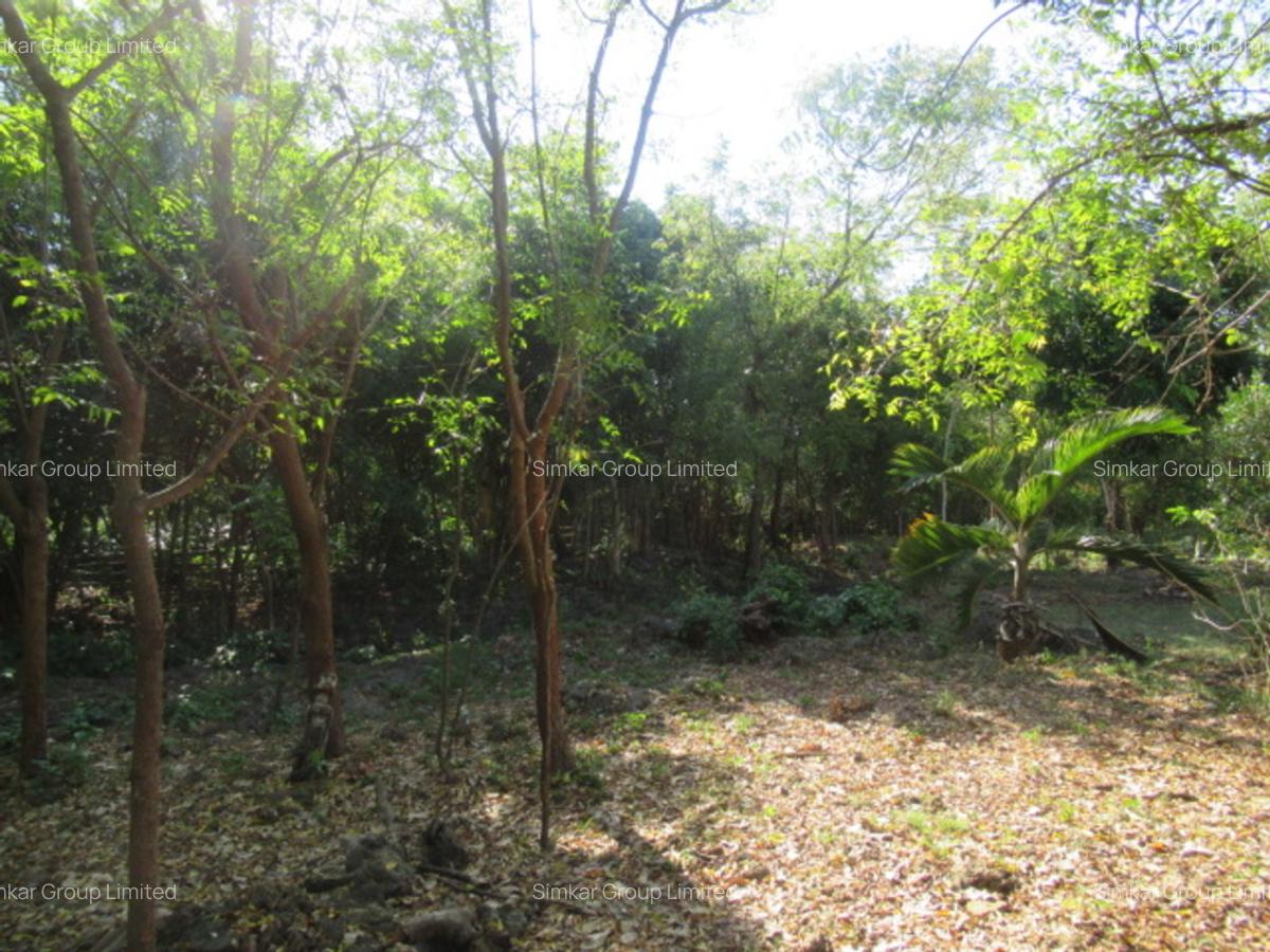 Land at Off Diani Beach Rd - 4