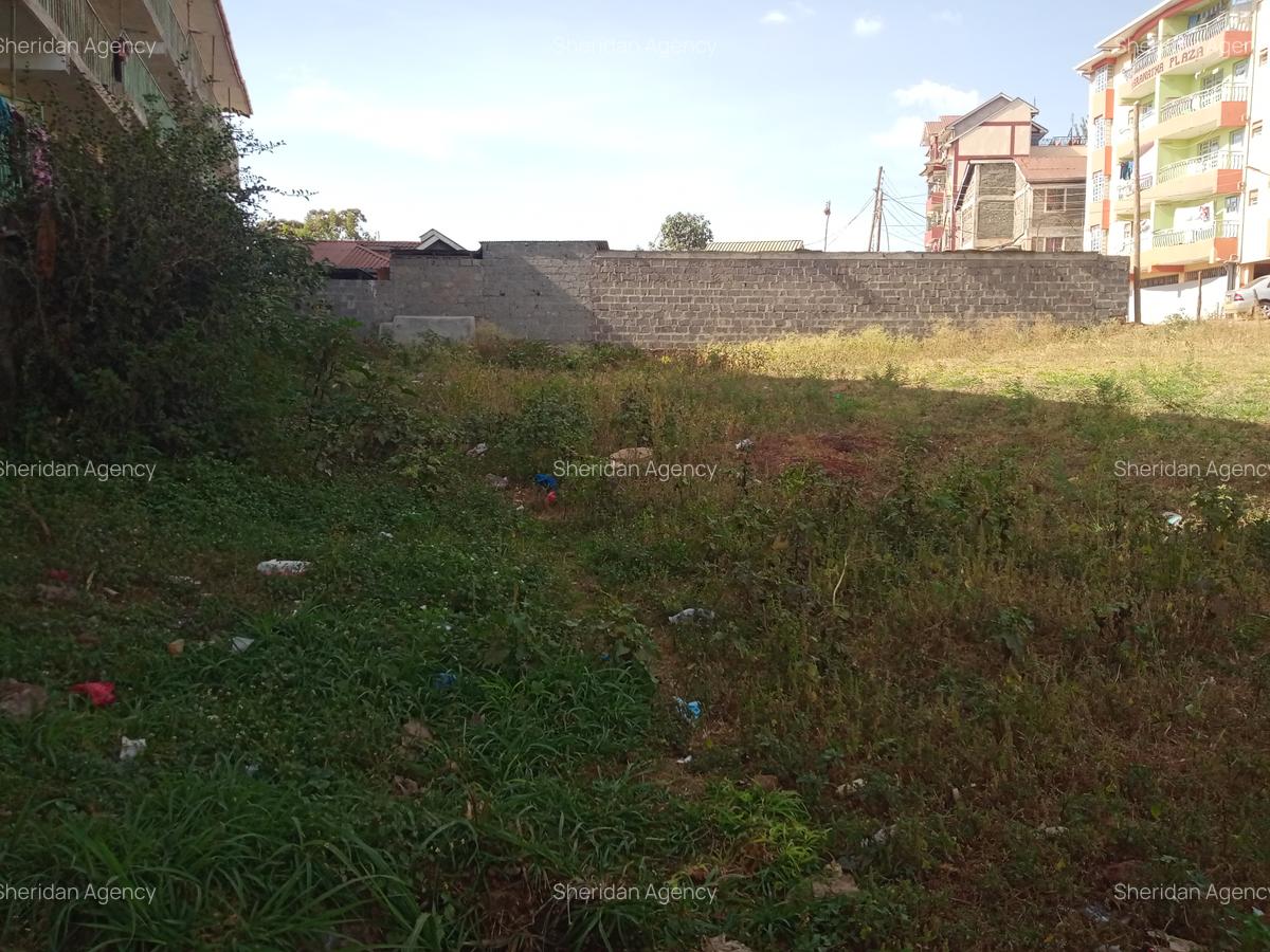 Commercial Land at Kahawa Wendani - 3
