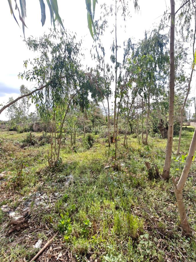 0.5 ac Land in Karen - 2