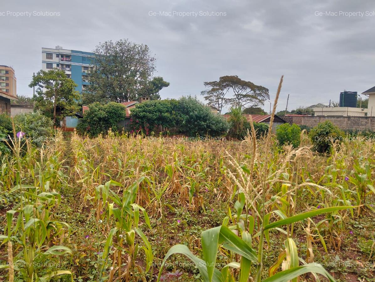 Commercial Land at Kirawa Road - 4