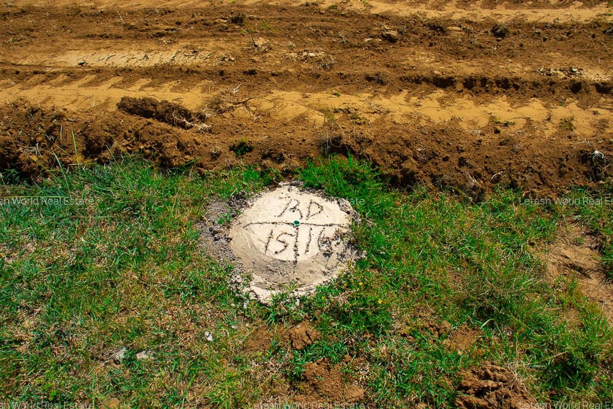 Land in Naivasha - 6