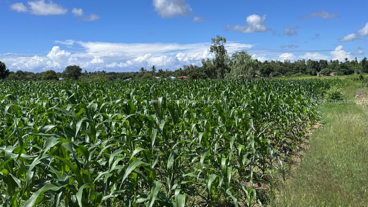 464 m² Land at Mavueni - 9