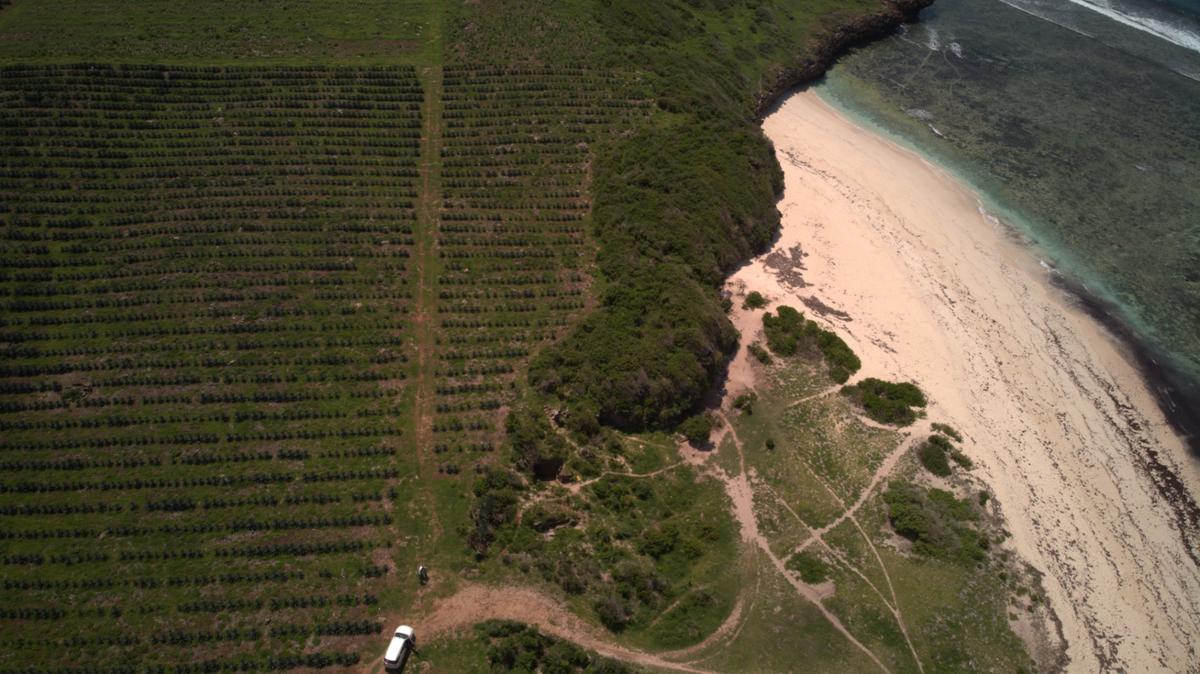 Residential Land in Nyali Area - 1