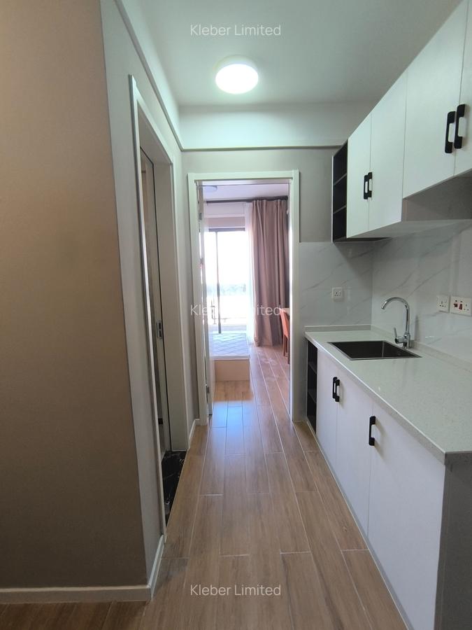 1 Bed Apartment with En Suite at Wanyee Road - 4