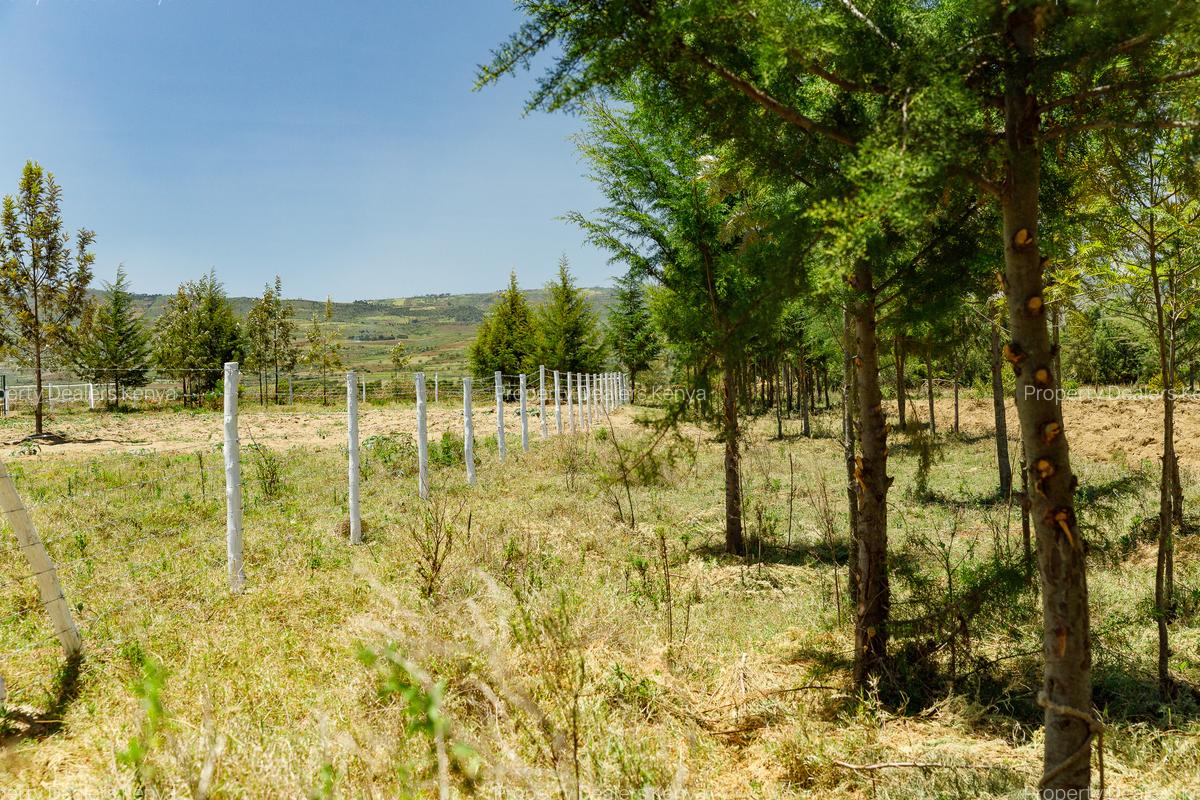 Residential Land at Moi South Lake Road - 5