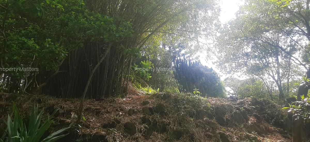 0.75 ac Residential Land at Naivasha Road - 12