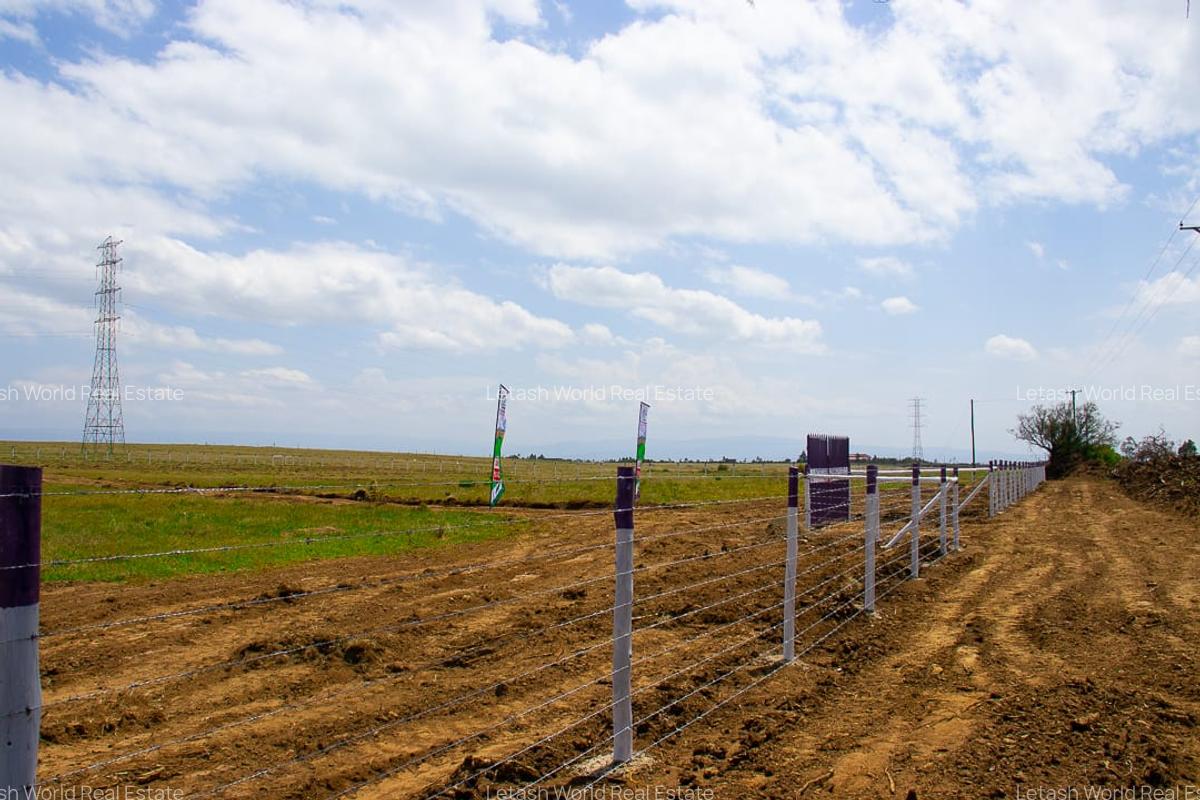 Residential Land in Naivasha - 3