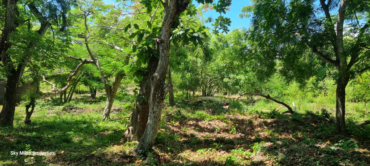 167.5 ac Land at Vipingo - 19