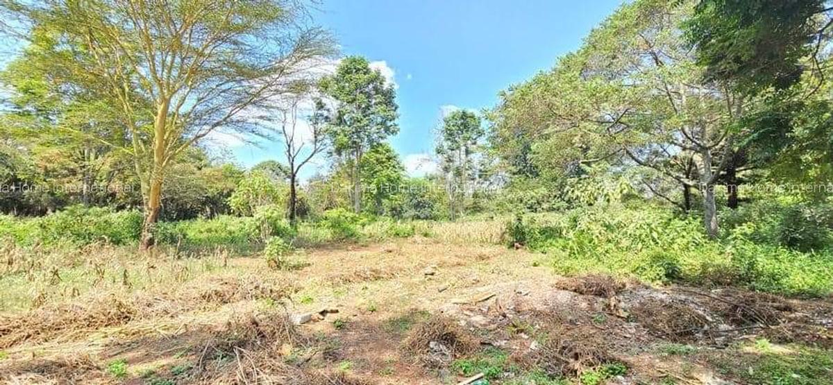 Residential Land in Spring Valley - 8