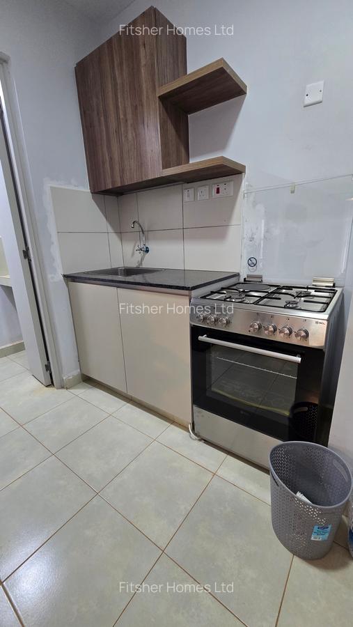 Serviced 1 Bed Apartment with En Suite in Naivasha Road - 6