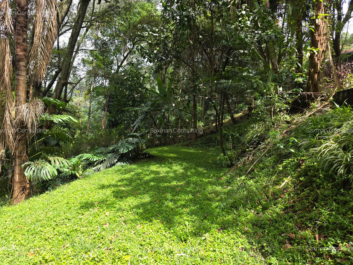 4 Bed House with Garden in Spring Valley - 19