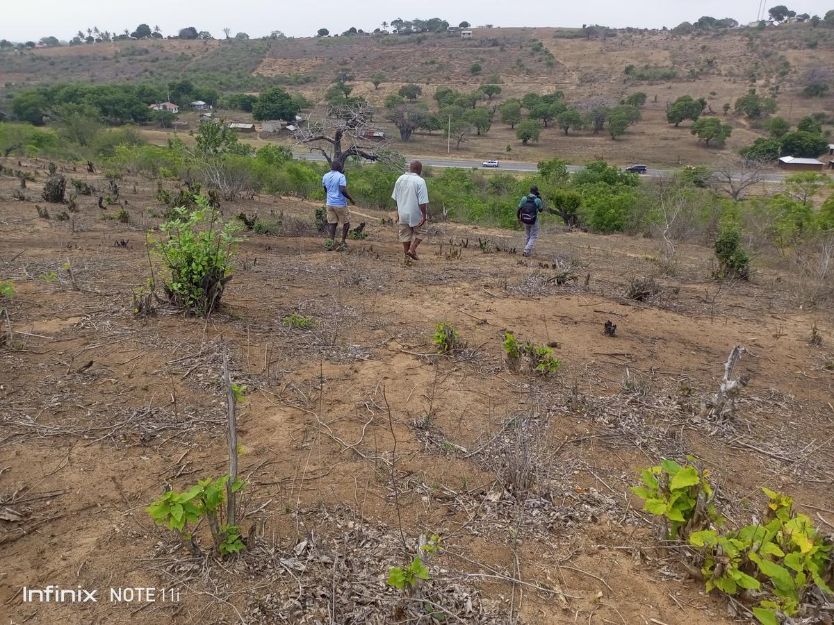 5,000 ft² Land at Malindi -Lamu Highway - 1