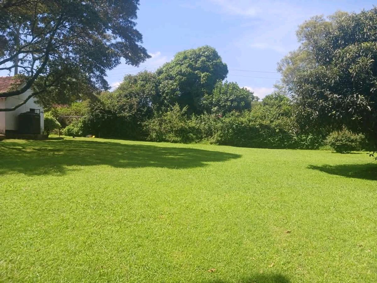 1.3 ac Land at Arguing Kodheck Road - 4
