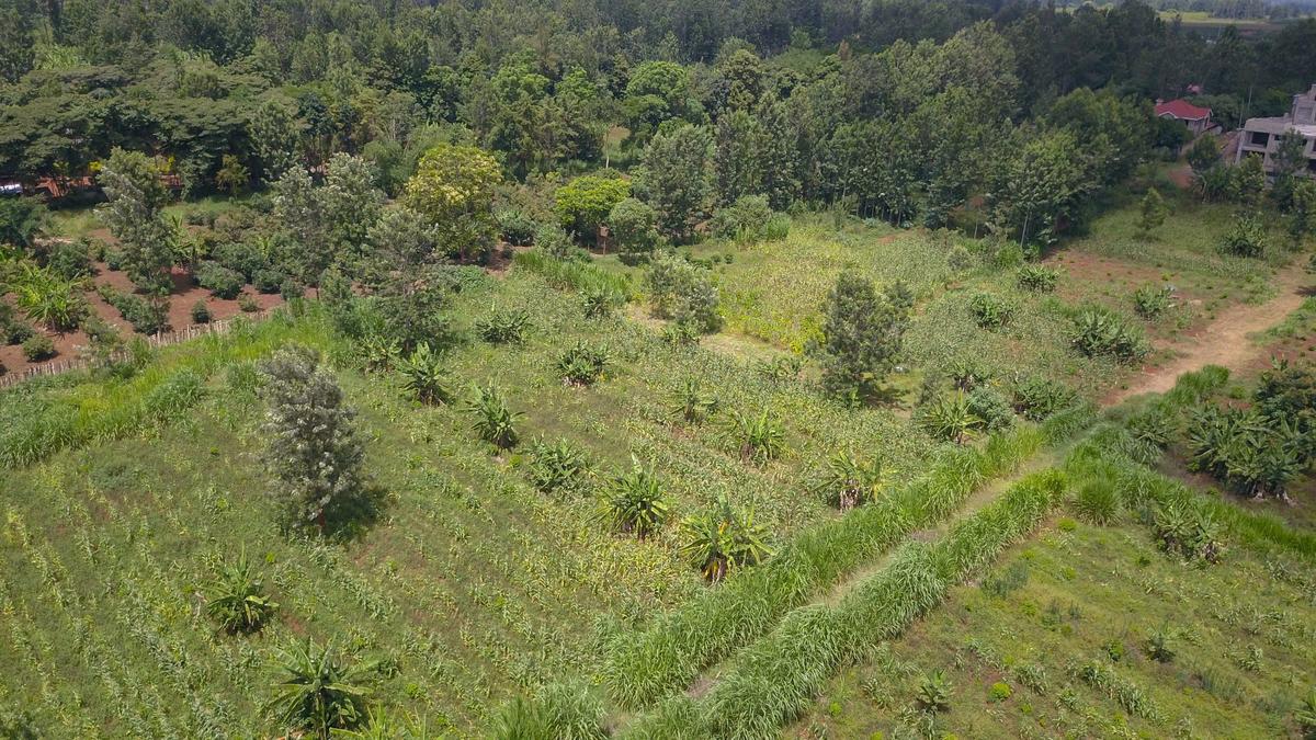 Residential Land in Thika - 3