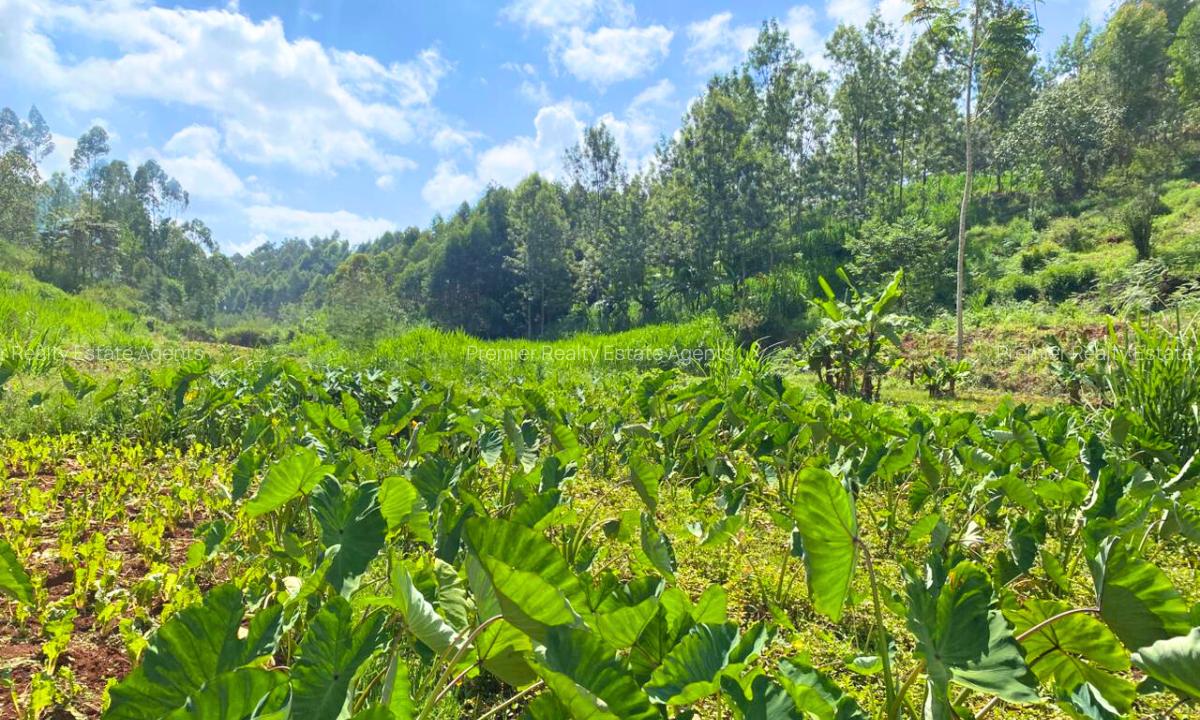 1 ac Residential Land at Muchatha - 2