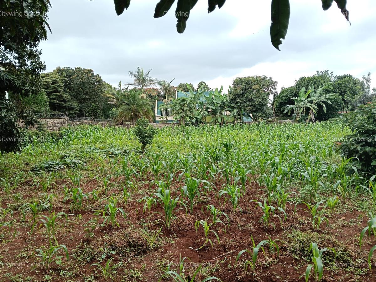 Land at Mimosa Road - 4