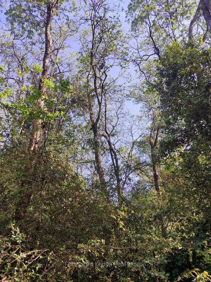 2.3 ac Land at Giraffe Centre - 3