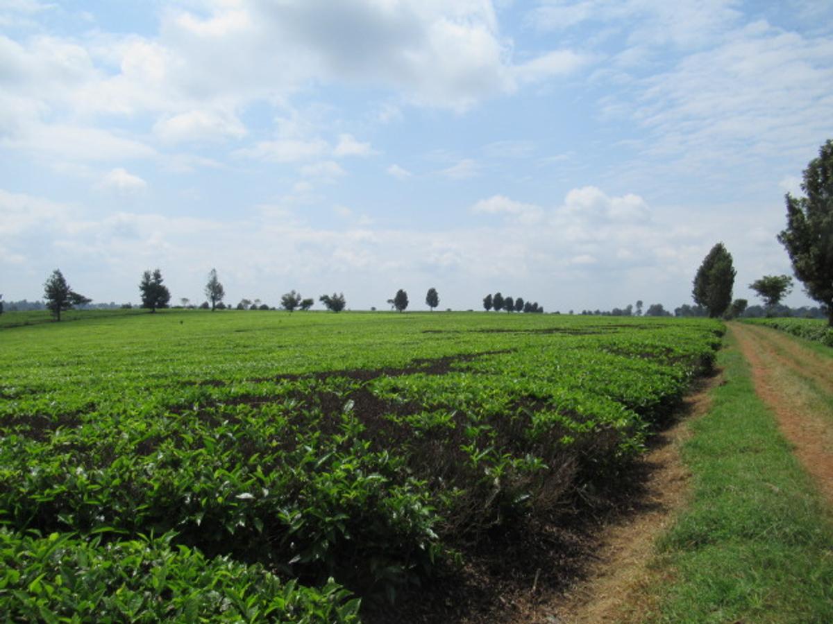 Land in Kiambu Town - 10