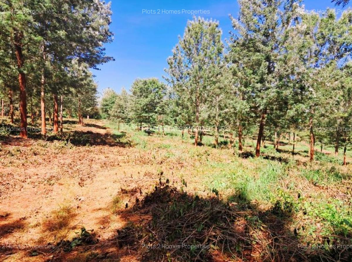 500 m² Residential Land at Oaklands - 15