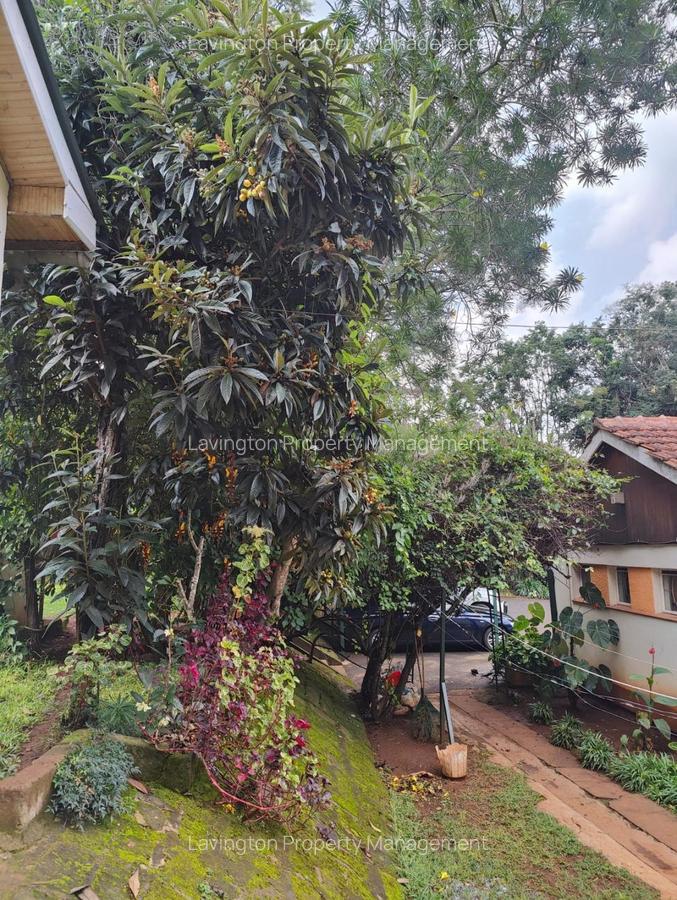 0.8 ft² Commercial Land at Majimzuri - 20