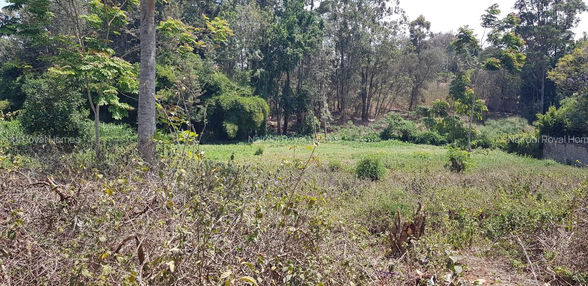 Residential Land at Flem Tree Off Ruaka Road - 3