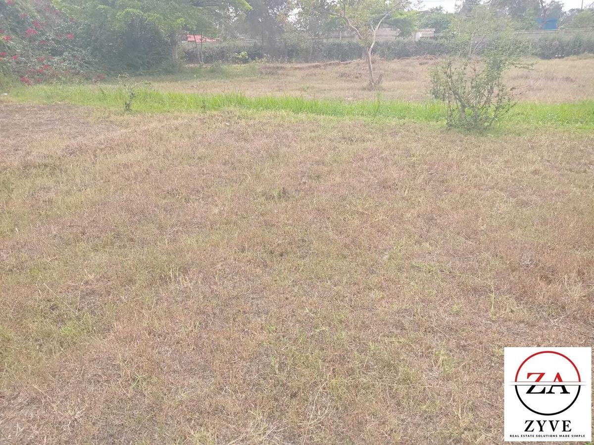 0.25 ac Land at Kerarapon Drive - 2