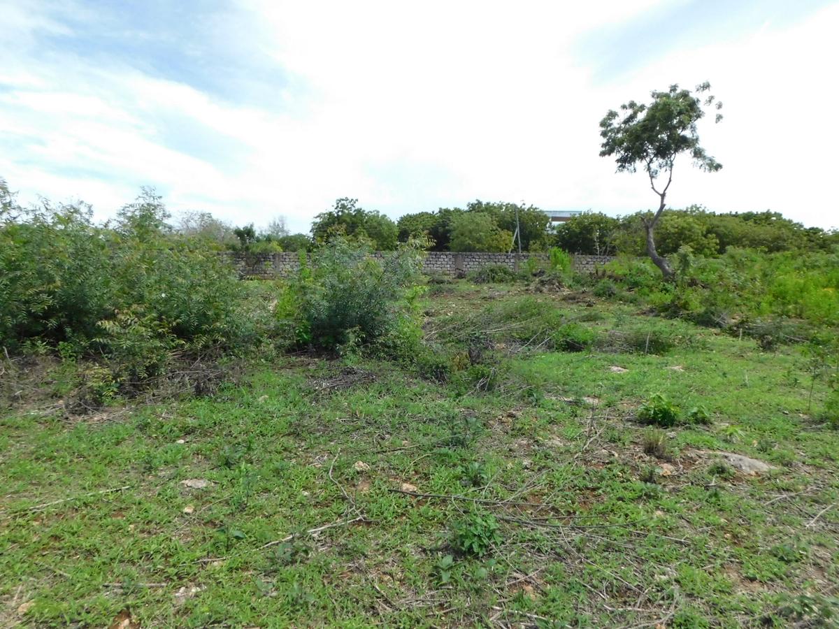 10,000 ft² Land at Vipingo - 2