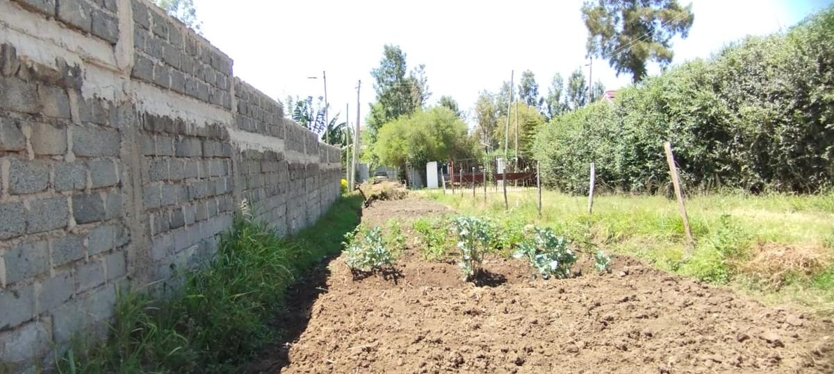 0.25 ac Land in Kahawa Sukari - 3