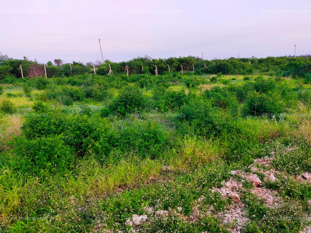 Land in Vipingo - 10