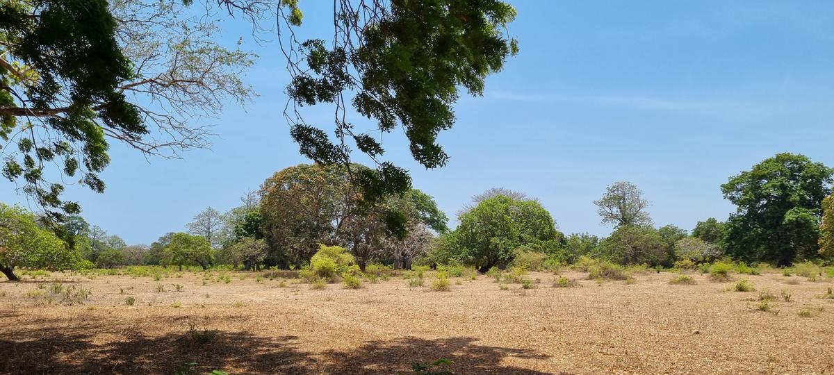 75 ac Land at Vipingo - 3