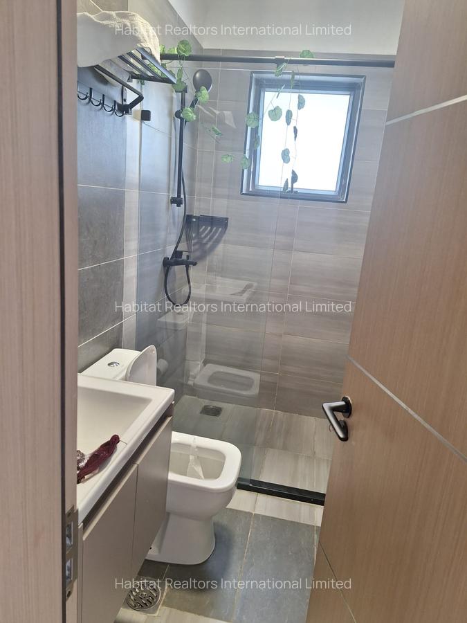 Furnished 1 Bed Apartment with En Suite at Hatheru - 9