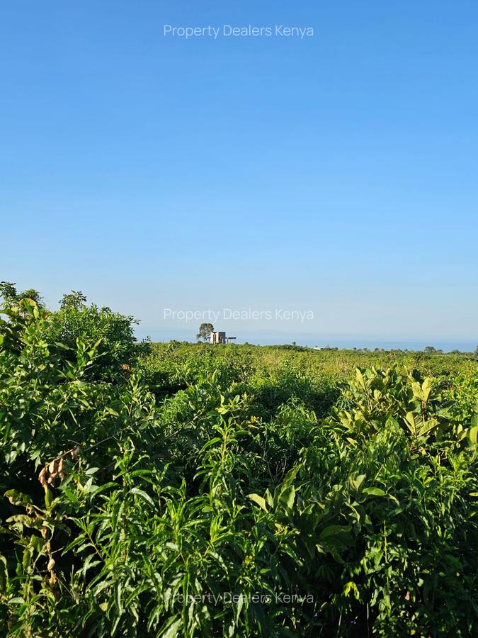 505 ha Residential Land at Kisumu Riat - 5