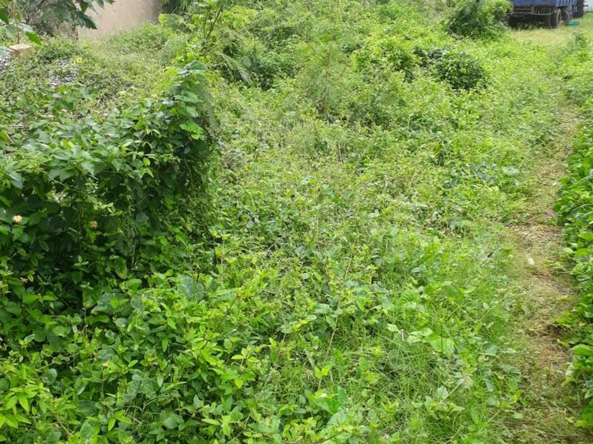 1,012 m² Residential Land in Nyali Area - 5