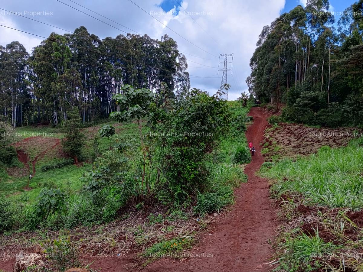 15 ac Land in Tigoni - 6