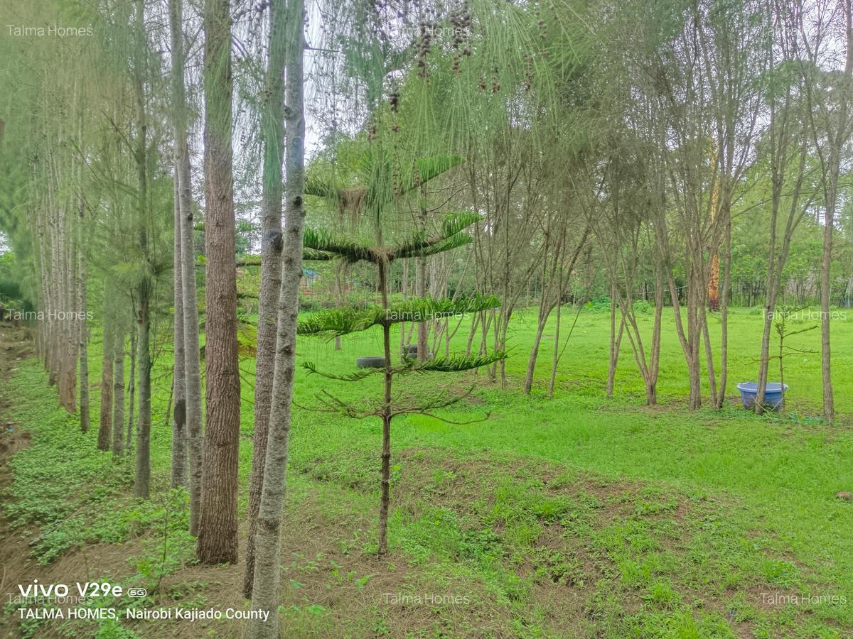 0.25 ac Land at Kerarapon Drive - 2