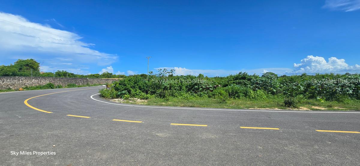 1,000 m² Land at Vipingo - 14
