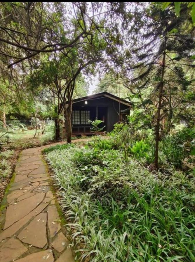 2 Bed House with En Suite at Karen - 16