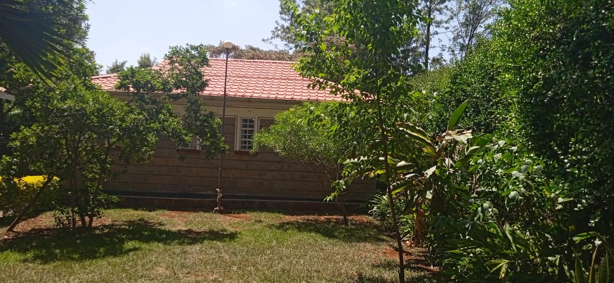 1 Bed House with En Suite at Mamba Village - 10