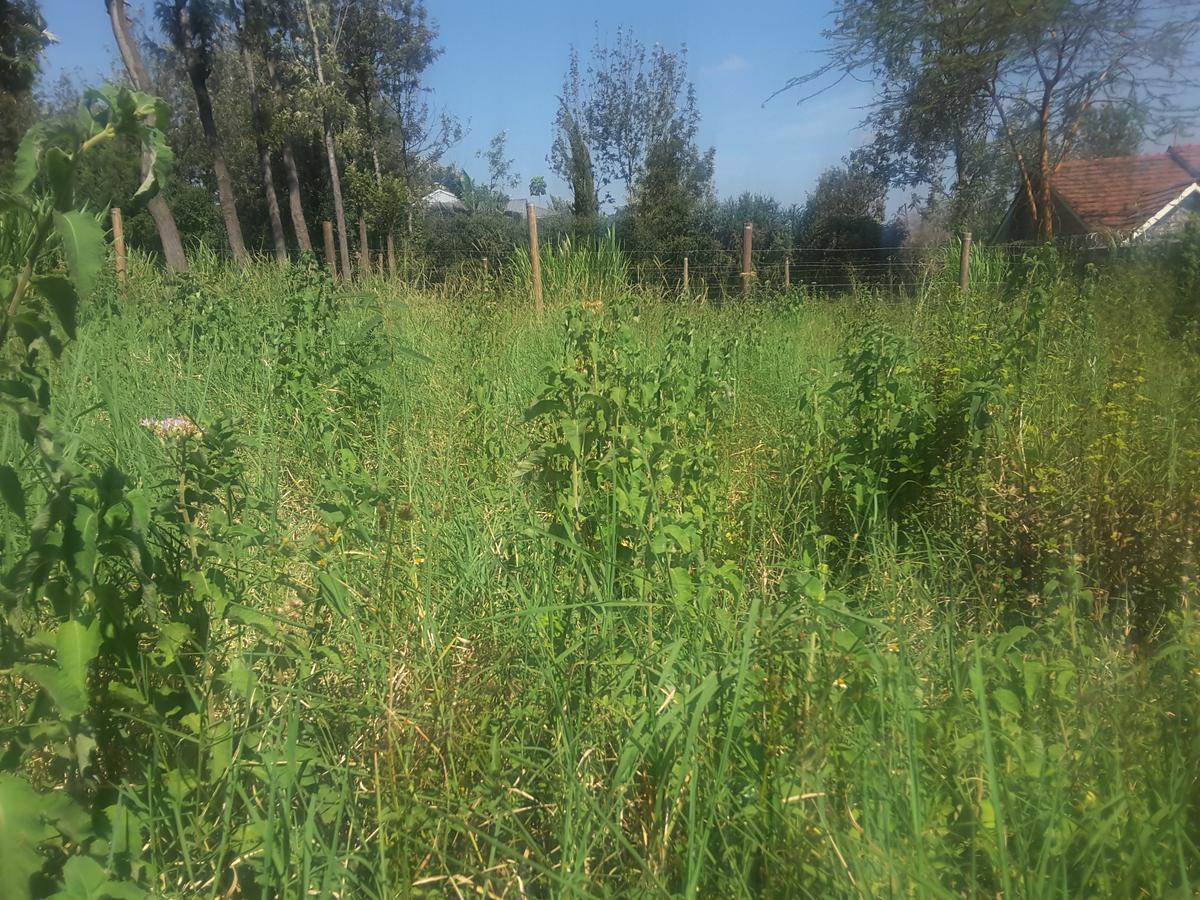 0.113 ac Residential Land in Ongata Rongai - 3